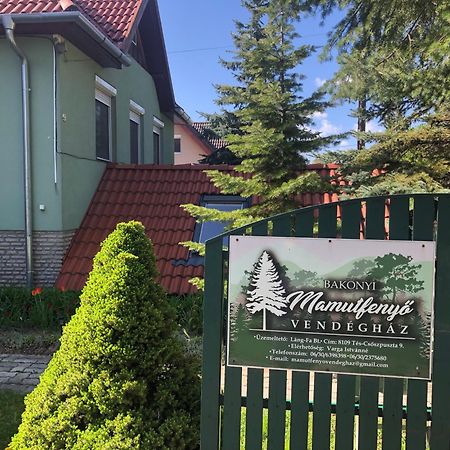 Bakonyi Mamutfenyo Vendeghaz Apartment Tes Luaran gambar