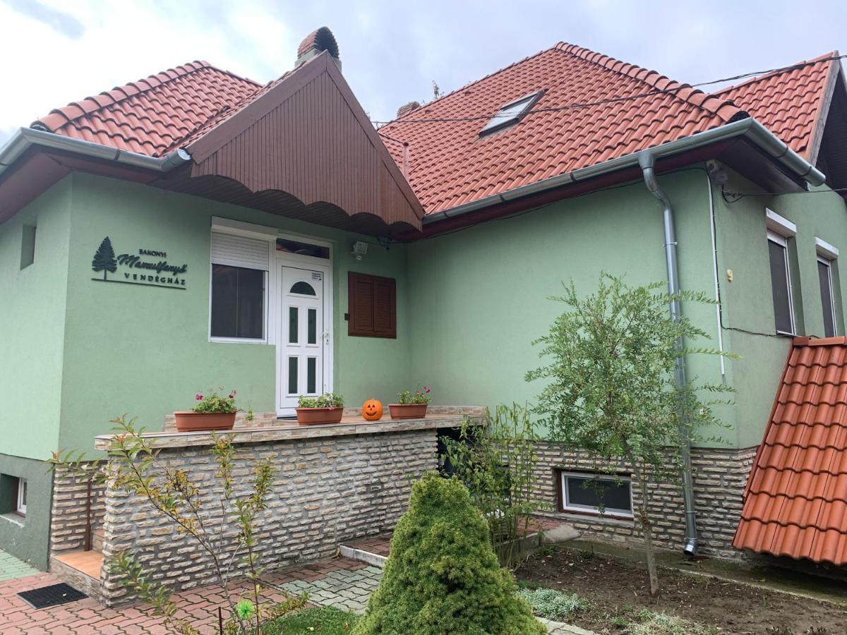 Bakonyi Mamutfenyo Vendeghaz Apartment Tes Luaran gambar