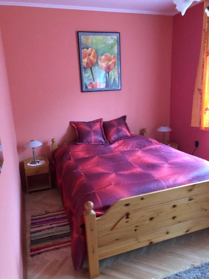 Bakonyi Mamutfenyo Vendeghaz Apartment Tes Luaran gambar