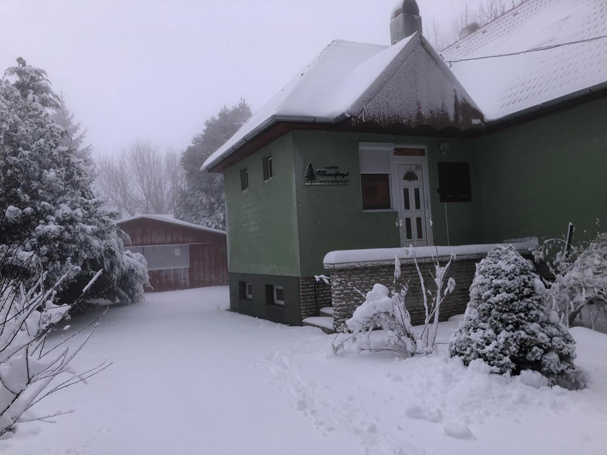 Bakonyi Mamutfenyo Vendeghaz Apartment Tes Luaran gambar