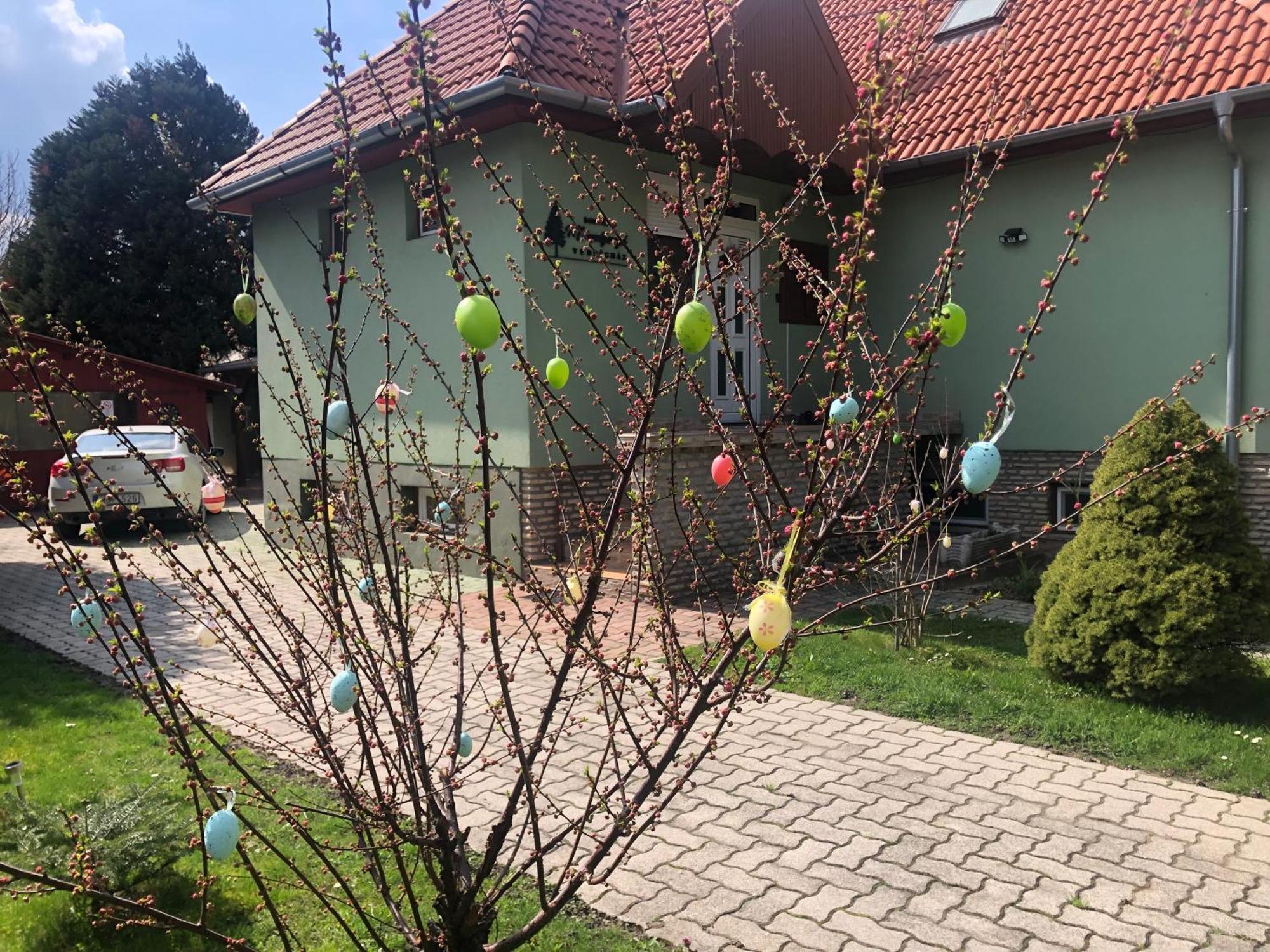 Bakonyi Mamutfenyo Vendeghaz Apartment Tes Luaran gambar